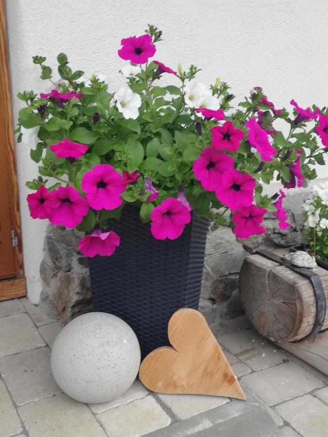 Apartment Steger 2 Mittersill Εξωτερικό φωτογραφία